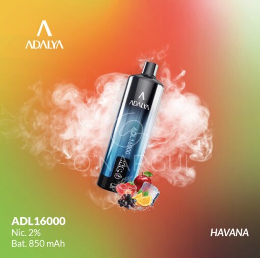 Jnr Adalya 16k havana