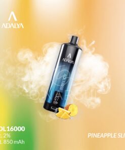 Jnr Adalya 16k pineapple slice